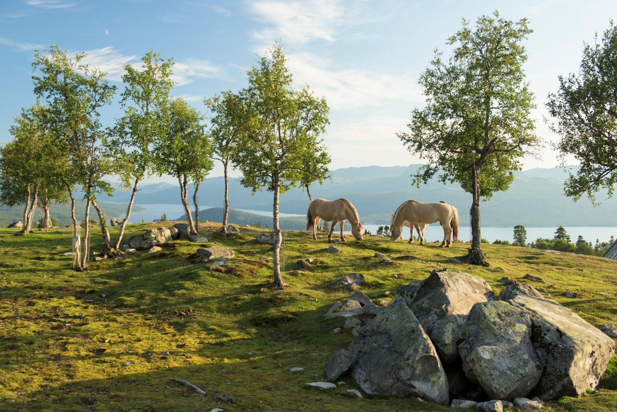 Langedrag Naturpark As Tunhovd Bagian luar foto